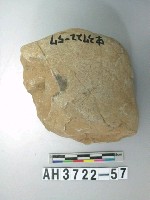 藏品(大型邊砍砸器)的圖片